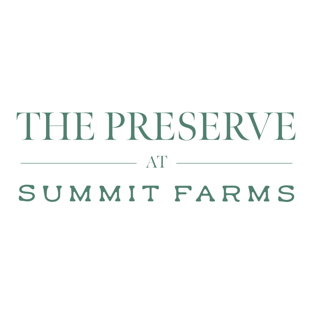 PRIMARY LOGO_Ideation V1